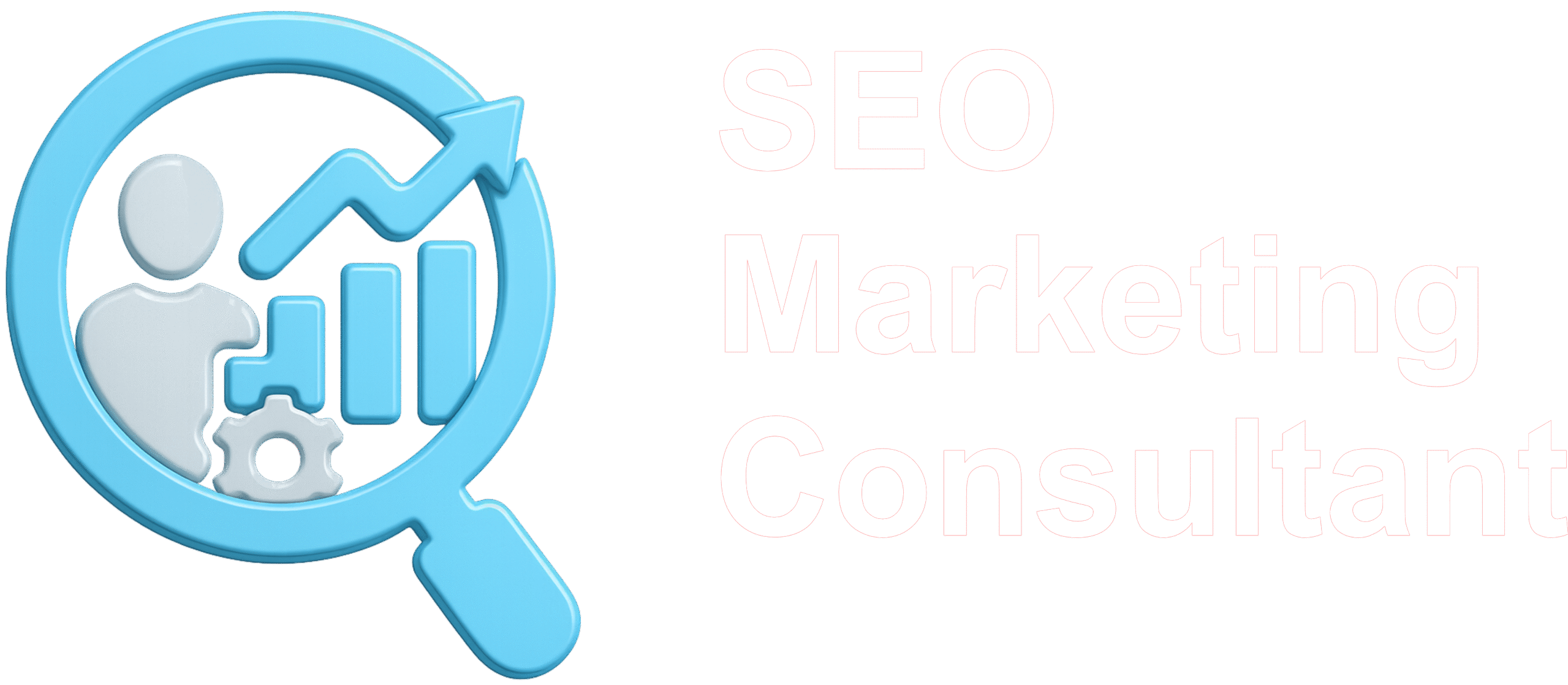SEO Marketing Consultant