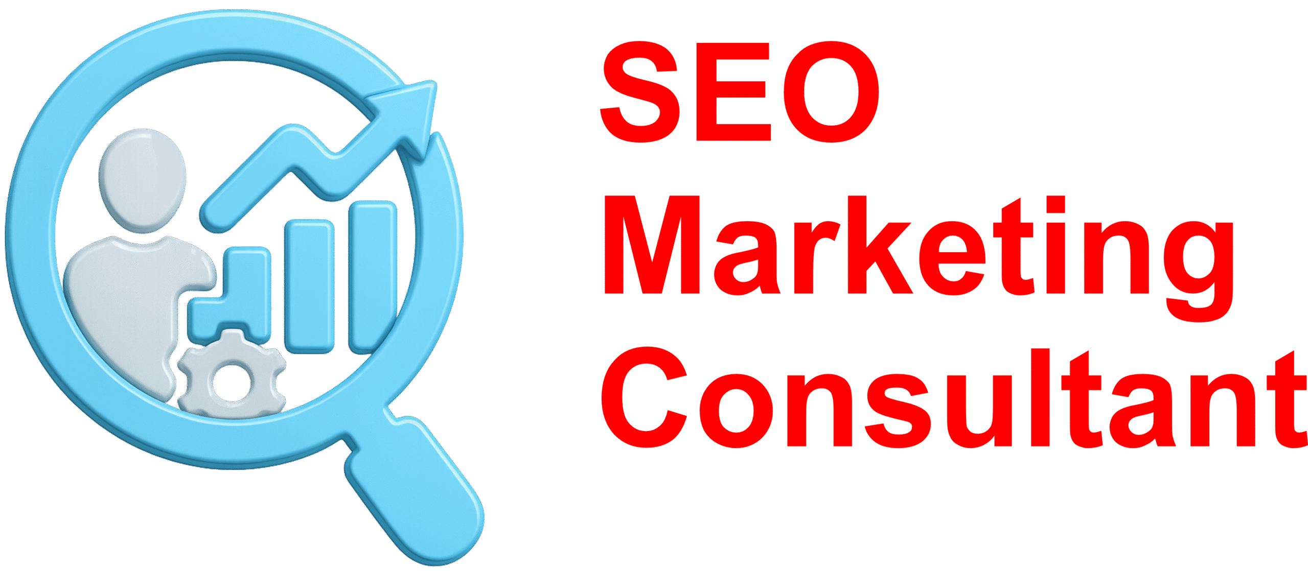SEO Marketing Consultant